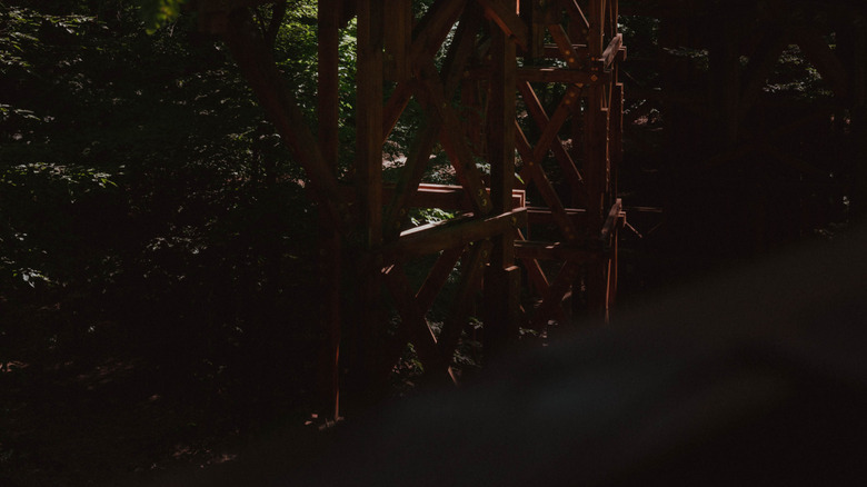 Un voyageur sur une passerelle en bois dans la forêt de Kaszó en Hongrie