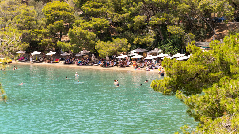 Une veiw de la plage de la baie d'amour à travers les arbres