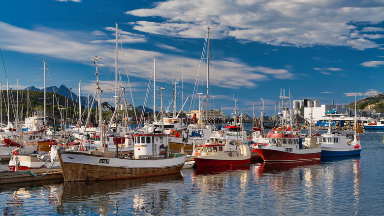 Une marina à Bodø, Norvège