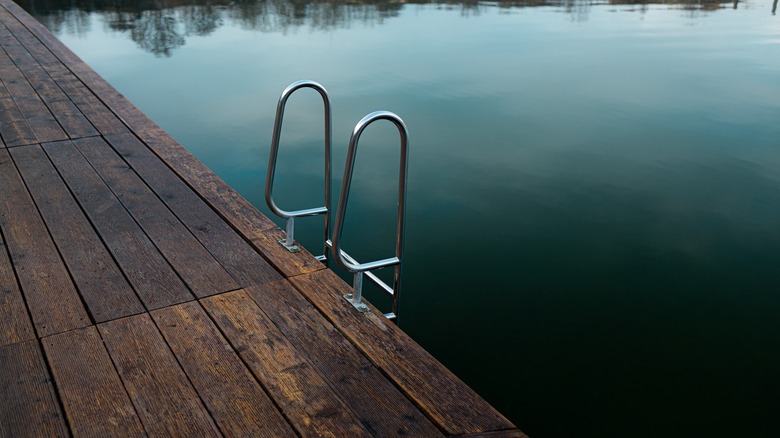 Une échelle mène du côté d'un pont dans le lac Zakrzowek
