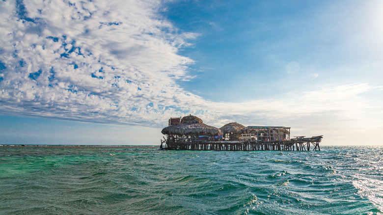 Pelican Bar à Treasure Beach