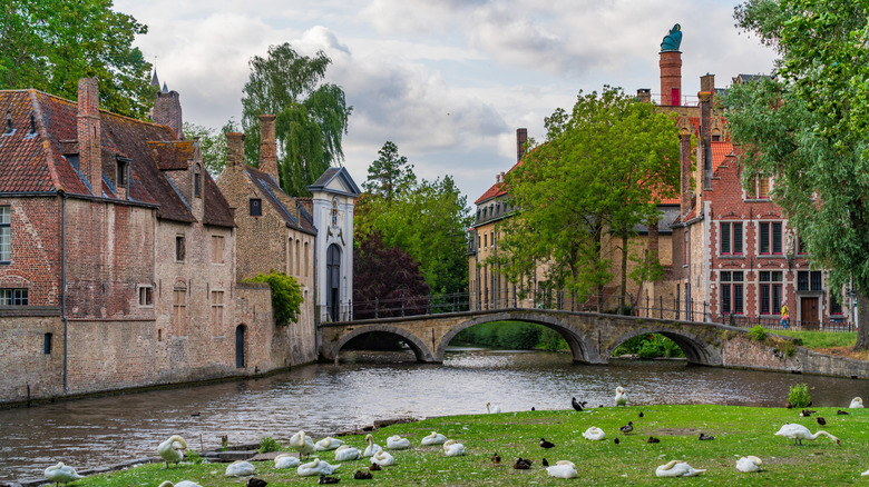 Pont sur l'eau avec des cygnes aux bruges Begijnhof
