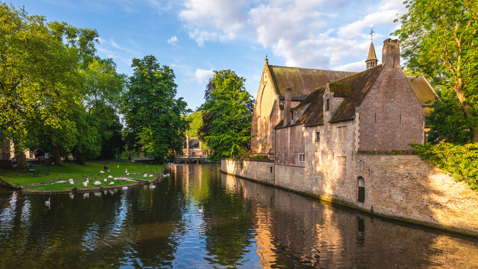 Cet endroit moins touristique à Bruges est un délice accessible à pied avec des maisons blanchies à la chaux et des jardins à la jonquille
