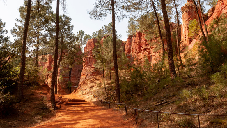 Vue du chemin à travers le parc régional naturel de Luberon