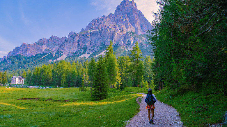 Le chemin traverse une prairie au début de la randonnée de Lago di Sorapis