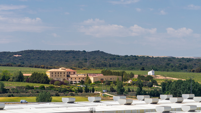 Hotel Torremilanos, un hôtel de la région viticole de Ribera del Duero