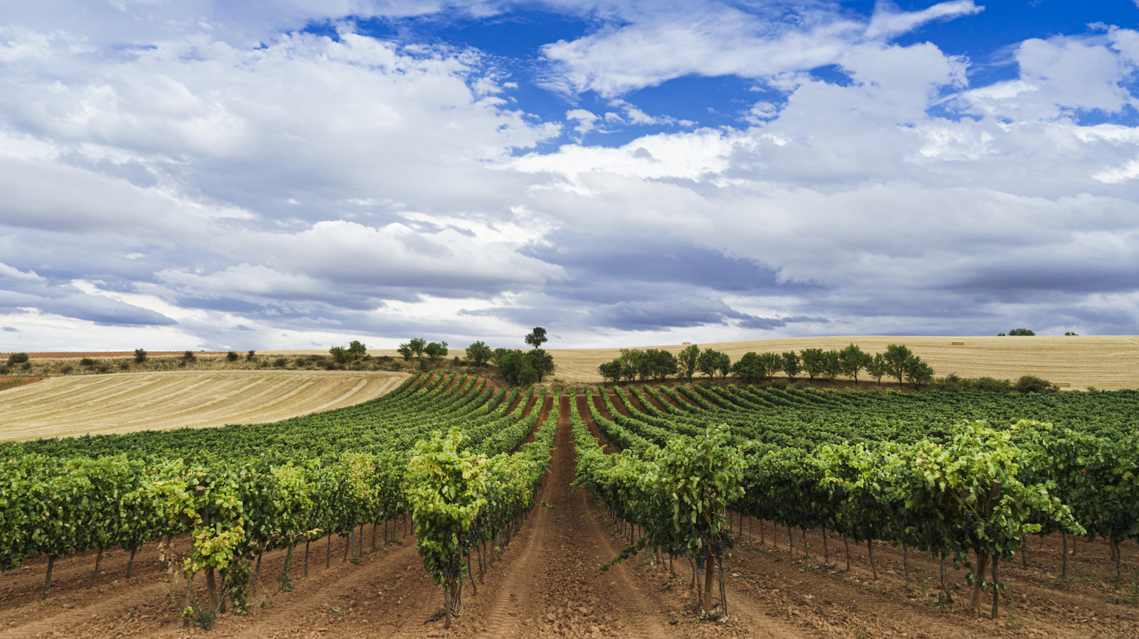 La région viticole la plus sous-estimée d'Espagne mélange des paysages dramatiques avec des rouges renommés et un charme historique