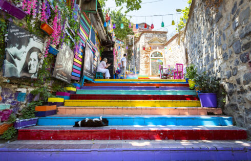 Cette ville colorée prise en sandwich entre l'Europe et l'Asie populaire auprès des touristes est le rêve d'un amoureux des chats inattendus