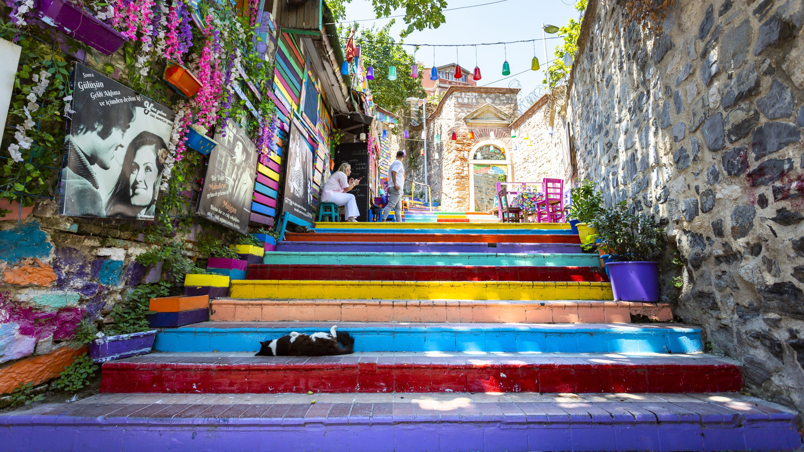 Cette ville colorée prise en sandwich entre l'Europe et l'Asie populaire auprès des touristes est le rêve d'un amoureux des chats inattendus