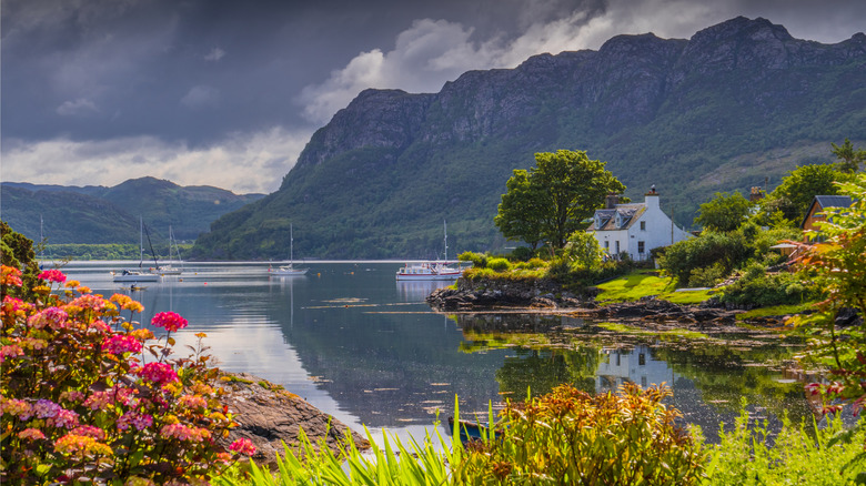 Les fleurs et la verdure dans tout le loch et les collines de Plockton