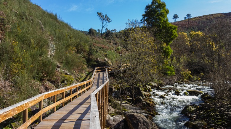 La promenade de l'Ecovia do Vez