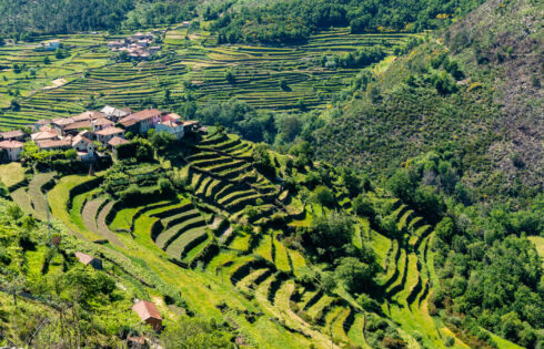 Le village le plus serein du Portugal a des collines terrasses, des sentiers de rivière rêveurs et une sensation hors réseau