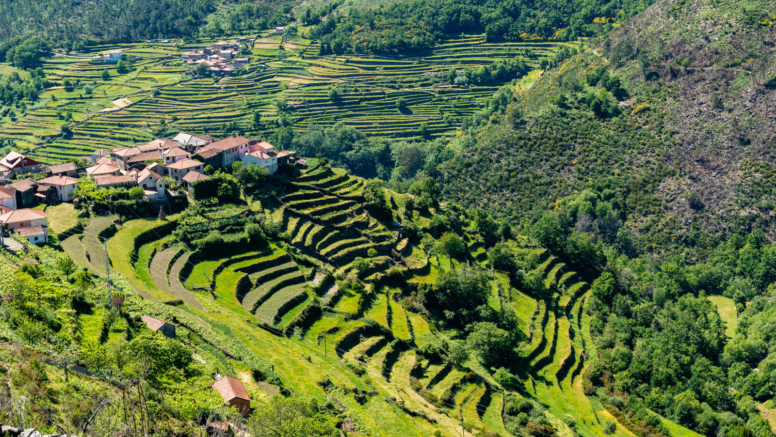 Le village le plus serein du Portugal a des collines terrasses, des sentiers de rivière rêveurs et une sensation hors réseau