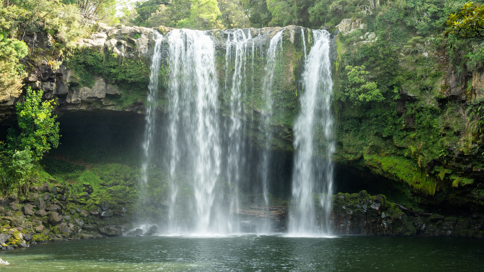 L'une des cascades les plus étonnantes de la Nouvelle-Zélande est une merveille facilement accessible avec une goutte impressionnante