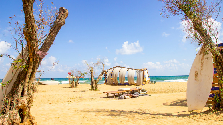 Burc Beach avec des arbres broussailles et des structures bohèques