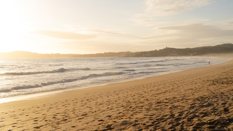Des vagues se brisent dans une plage d'Andy à La Lanzada
