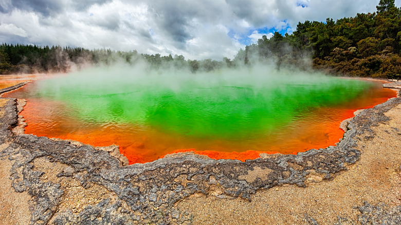 La piscine de champagne de Wai-O-Tapu brille le vert néon et l'orange en raison de l'activité géothermique tandis que la vapeur s'élève