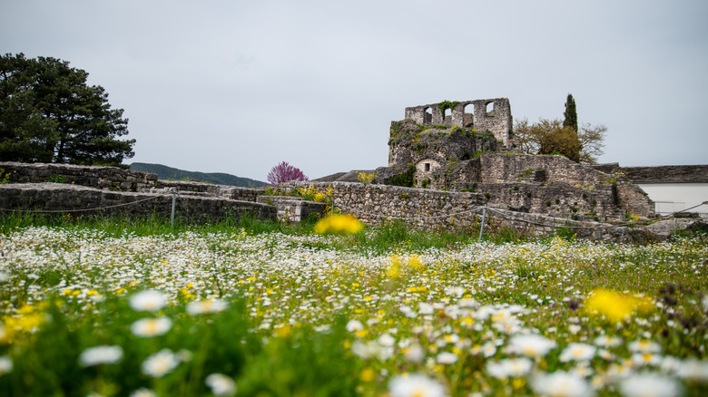 Fleurs sous le château historique d'Ioannina