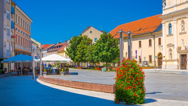 Une vue d'une rue à Čakovec, Croatie