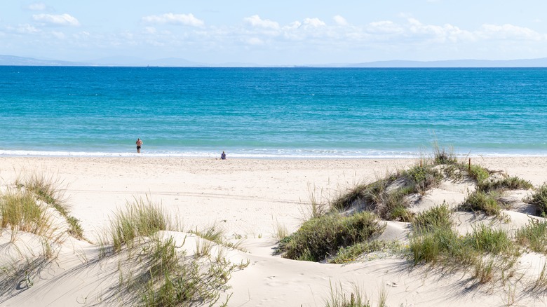 Bolonia Beach à Cadiz, Espagne