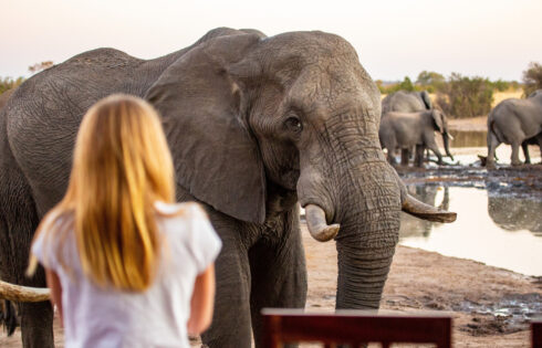 Un vaste parc naturel couvrant cinq pays a des lions, des éléphants et une cascade la plus à couper le souffle d'Afrique