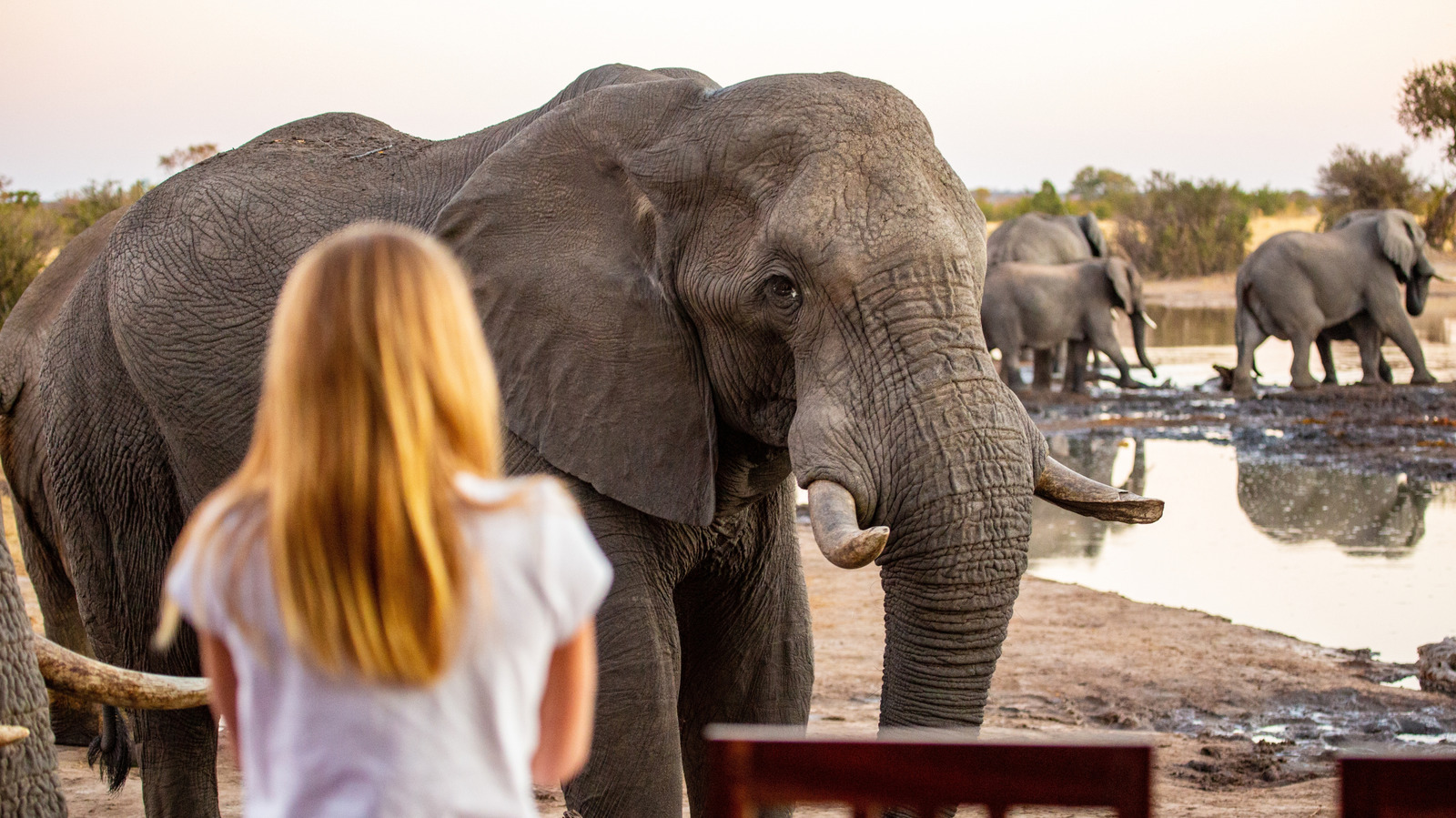 Un vaste parc naturel couvrant cinq pays a des lions, des éléphants et une cascade la plus à couper le souffle d'Afrique