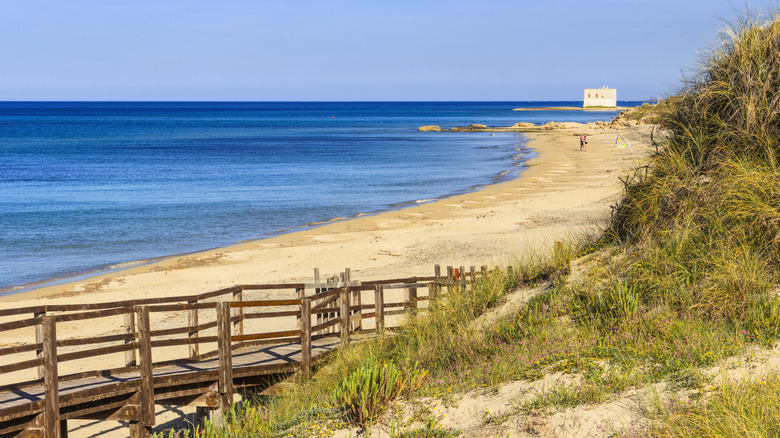 Torre Canne dans le parc naturel régional de la dune Costiere