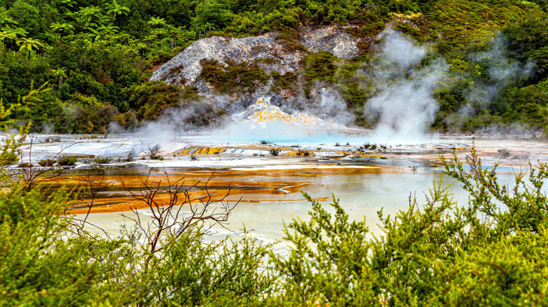 Orakei Korako Cave & Thermal Park, Nouvelle-Zélande