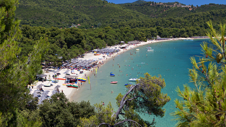 Plage de koukounaires entourée d'une forêt