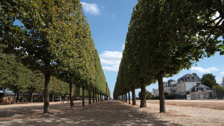 Jardins à Saint-Germain-en Laye Park