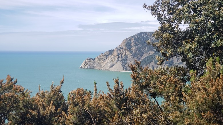 Vue de la mer depuis le Sentriero Azzurro en Italie
