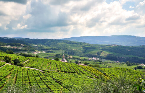 La cave non conventionnelle et primée d'Italie près de Vérone vous permet de mélanger votre propre bouteille