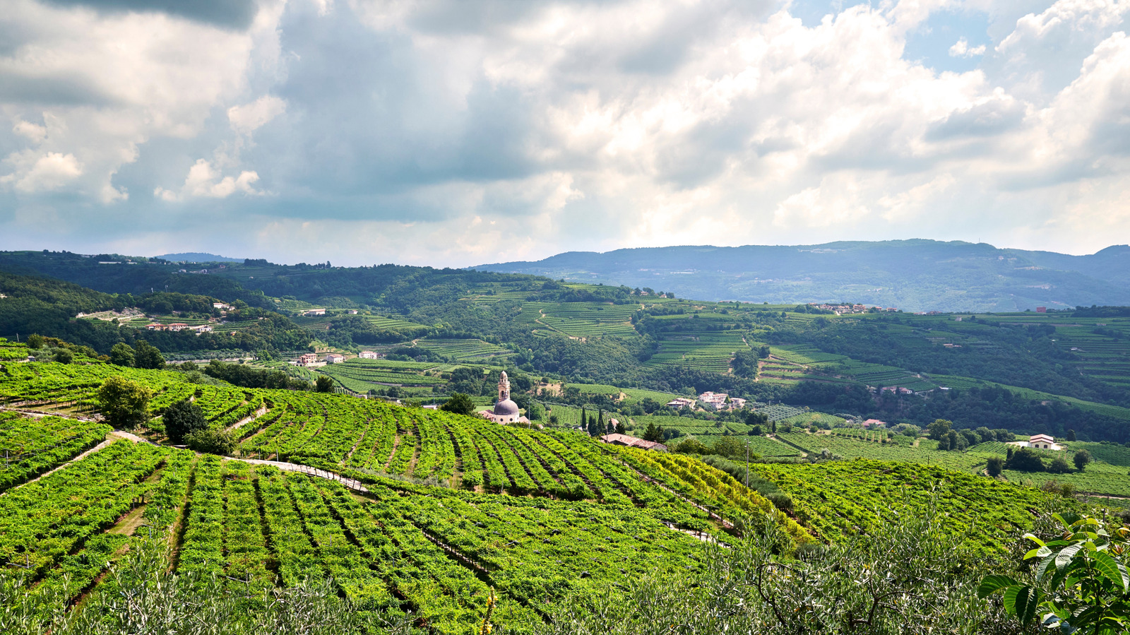 La cave non conventionnelle et primée d'Italie près de Vérone vous permet de mélanger votre propre bouteille