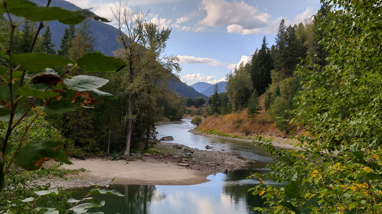 Vue sur la rivière Slocan voisine, Kootenay Rockies