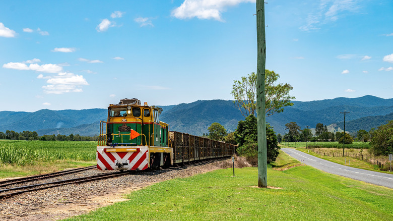 Un train de canne transportant du sucre à Mackay