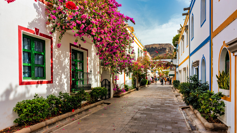 Une rue à Gran Canaria, en Espagne avec des fleurs vibrantes et des bâtiments blancs