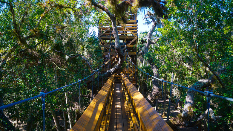 Pont suspension de parcours d'obstacle aérien dans la canopée des arbres