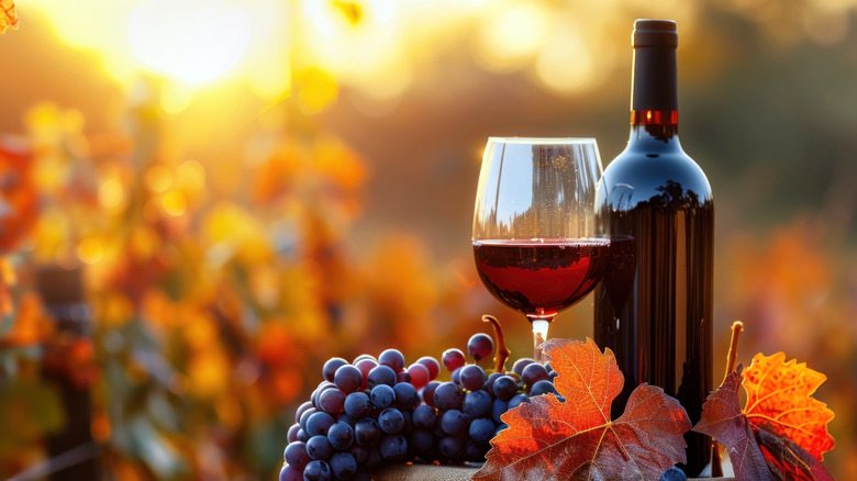 Bouteille de vin rouge avec des raisins et du verre au coucher du soleil à l'automne
