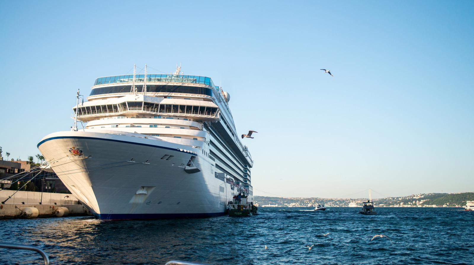 Ce lieu de vacances populaire vient d'interdire les grands navires de croisière et l'excès de touristes de la ville