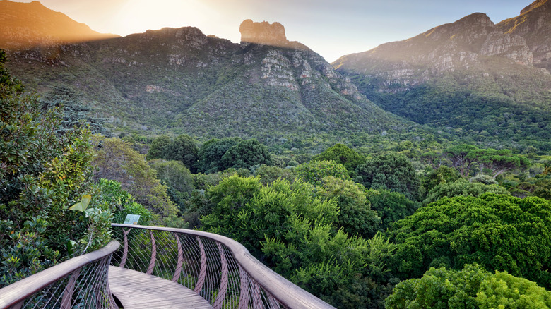 Montagnes au coucher du soleil afrique du sud