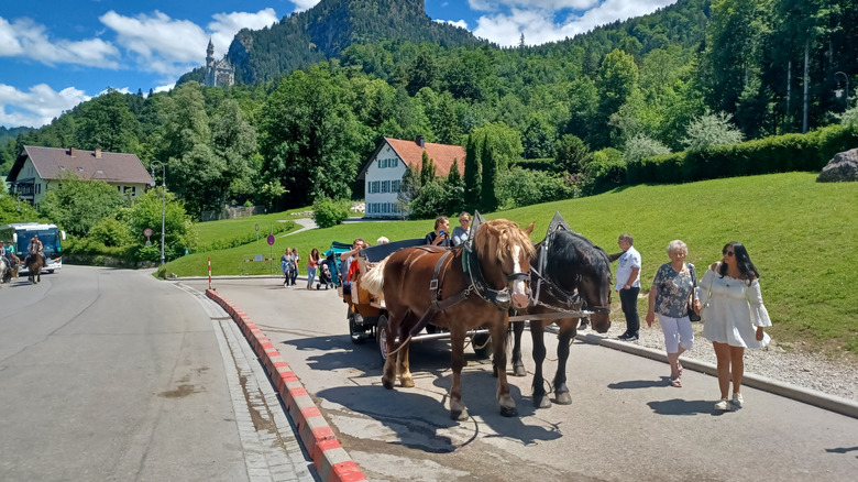 chevaux tirant une voiture en Bavière