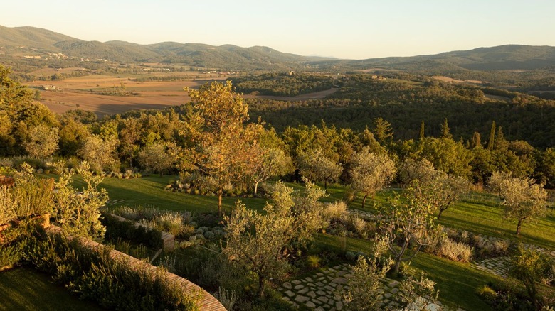 Vue de la propriété autour de Castello di Casole