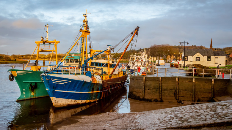 Bateaux à Kirkcudbright Harbour et Marina au coucher du soleil