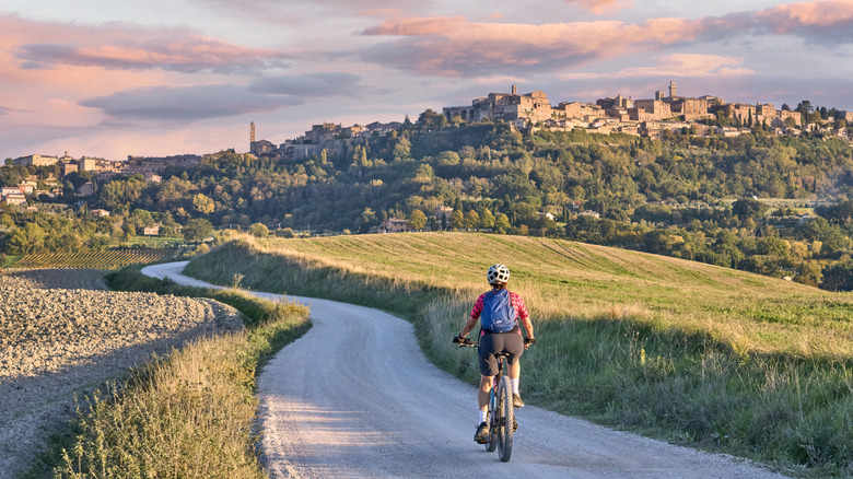 Faire du vélo devant les oliviers à Chianti, en Italie