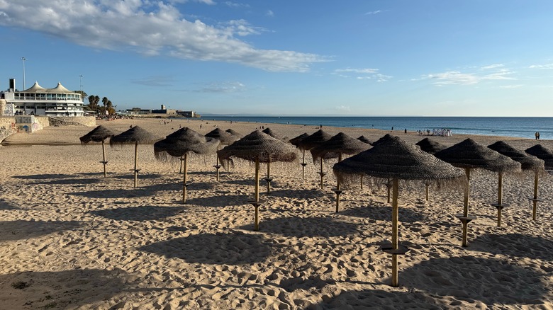Parasols de paille sur sable, plage de Carcavelos, Portugal