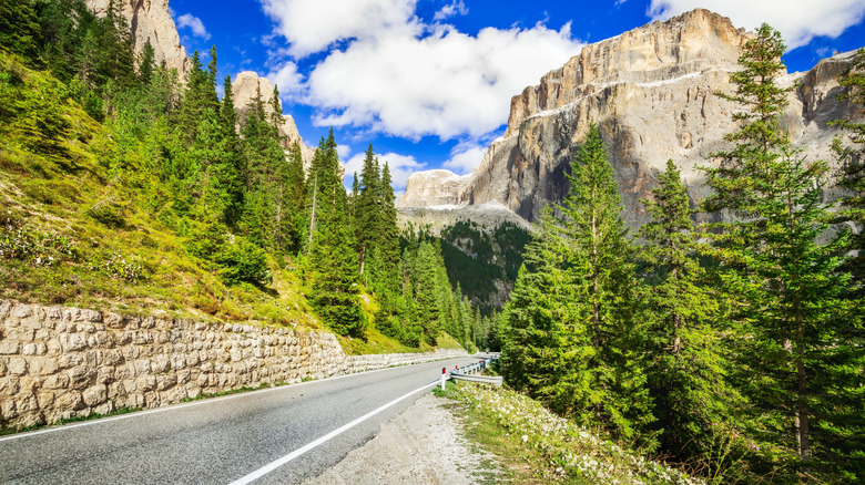 Autoroute à travers les forêts à feuilles persistantes et les montagnes escarpées près de Bolzano