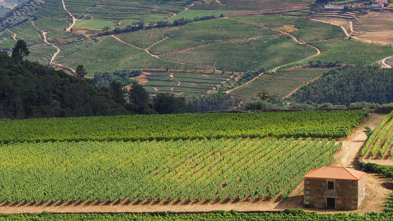 Niché dans les collines du nord du Portugal se trouve un village calme et sans foule qui propose des séjours de vignoble rêveurs