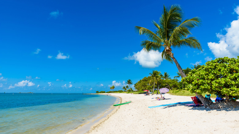 Sombrero Beach à Marathon
