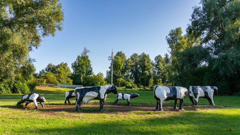Les vaches en béton à Milton Keynes