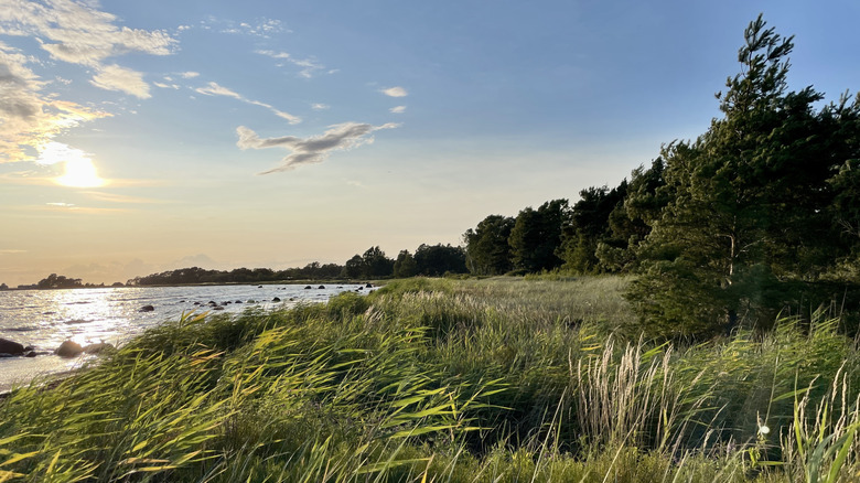 Björkhaga plage sur l'île de Gotland, Suède